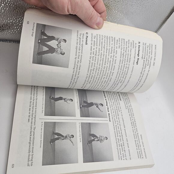 WING CHUN BIL JEE THE DEADLY ART OF THRUSTING FINGERS William Cheung - Picture 9 of 15